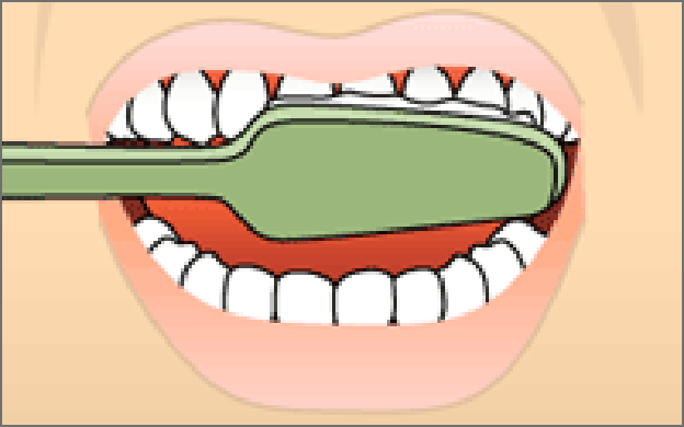 brushing-step-2